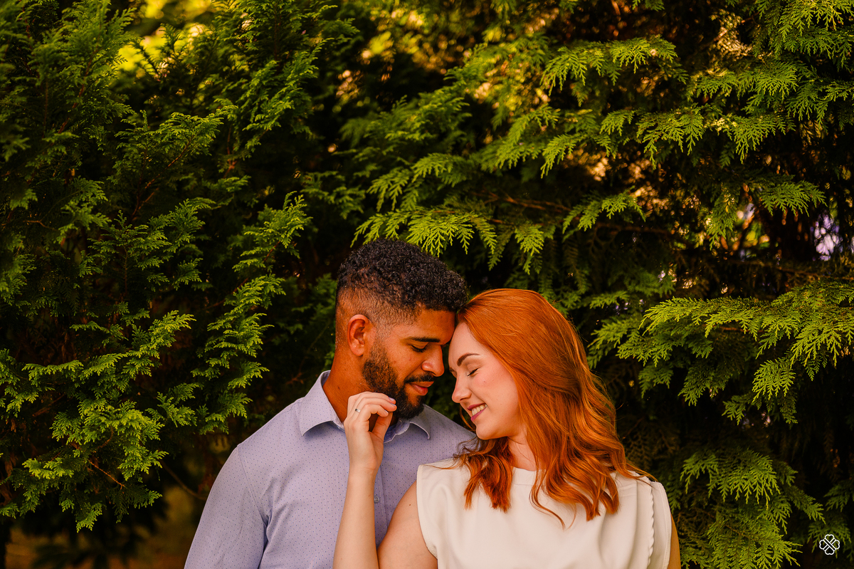 Pré casamento no Pinhal Alto