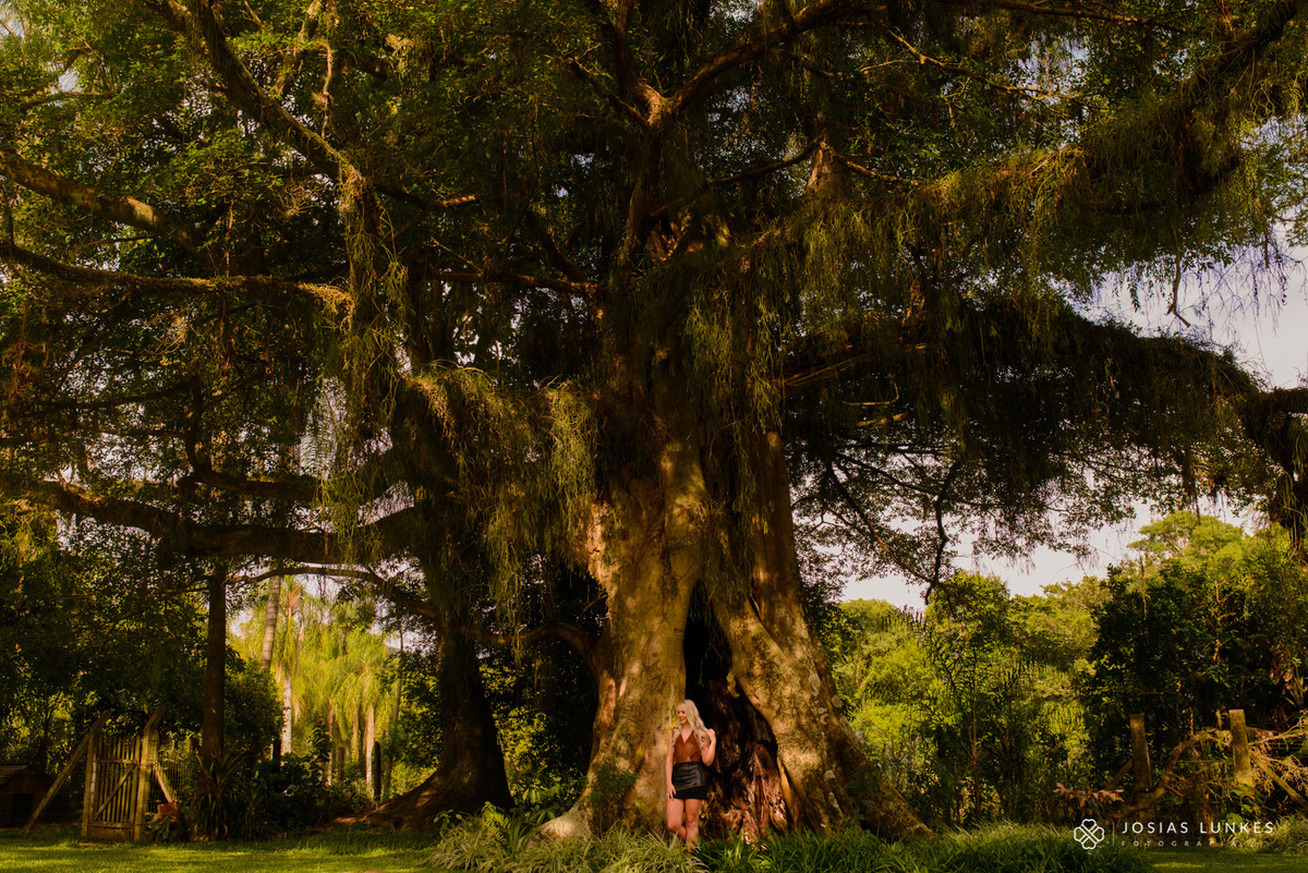 Josias Lunkes - Fotógrafo de Casamento,  em Gramado - Serra Gaúcha