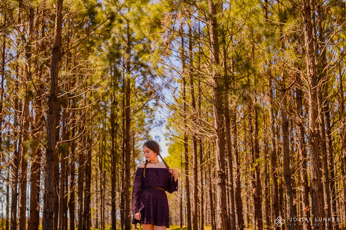 Ensaio de 15 anos em Bacopari 