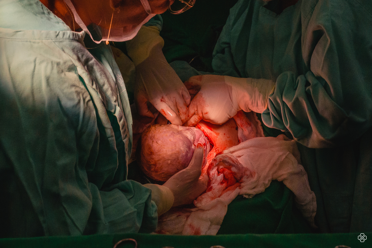 Fotógrafo de nascimento Serra Gaúcha