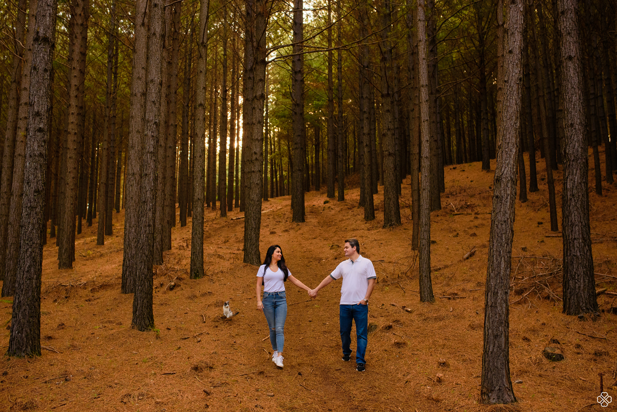 ensaio fotográfico no Tedesco ecopark