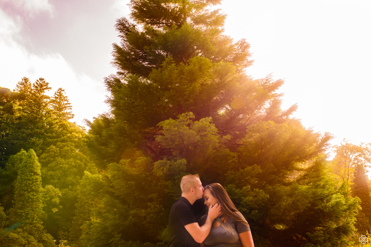 Ensaio de Casal no Lago Negro