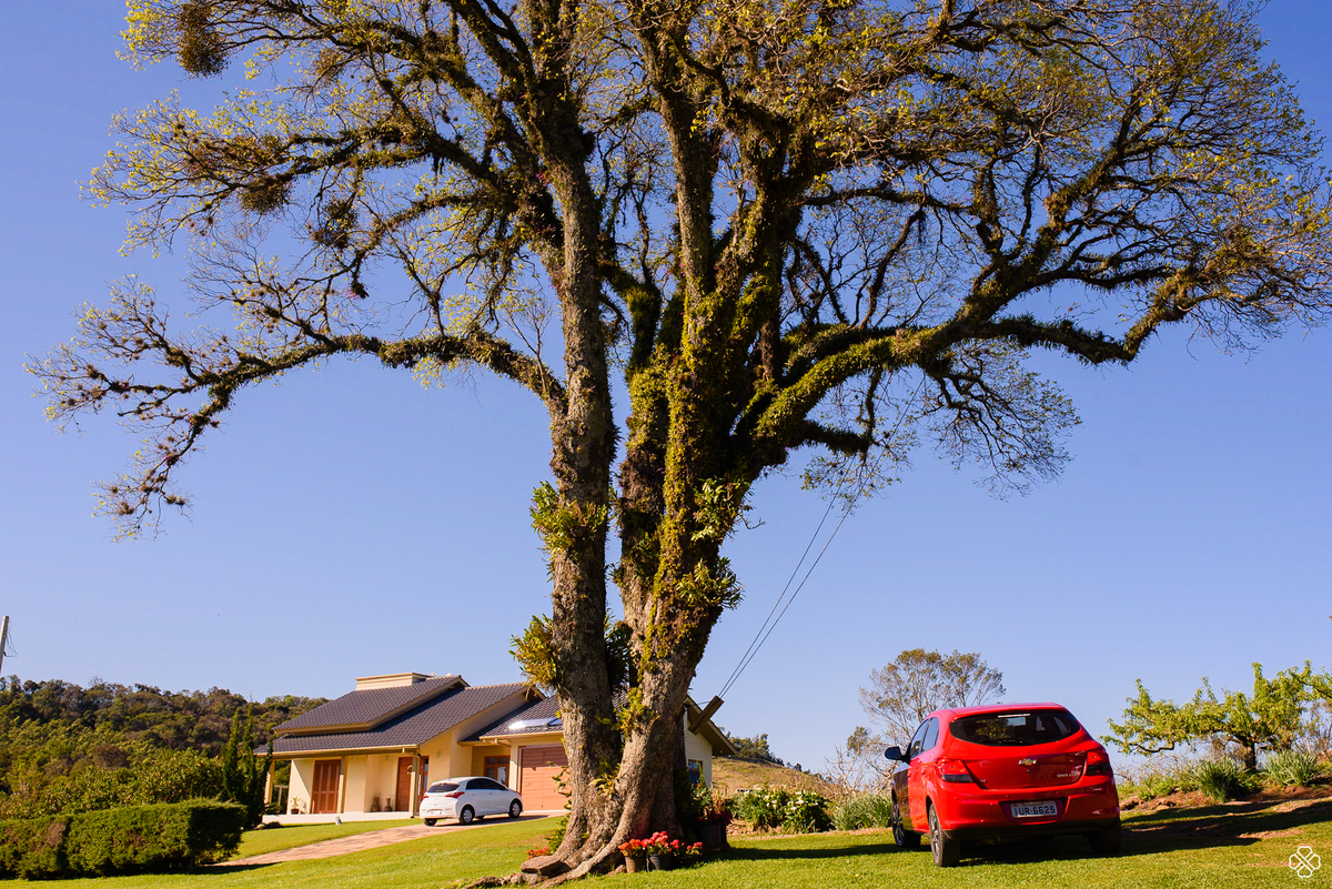 Casamento na Serra Gaúcha