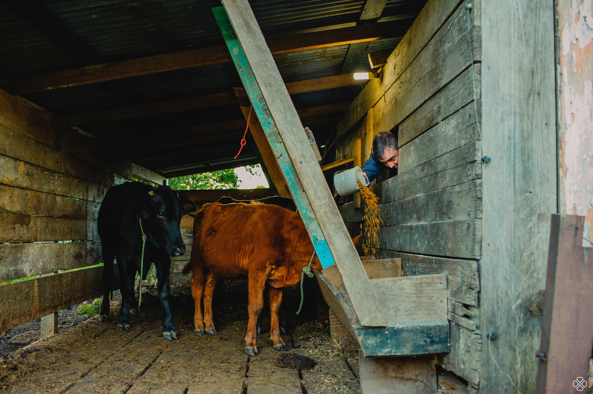 Casamento na serra Gaúcha