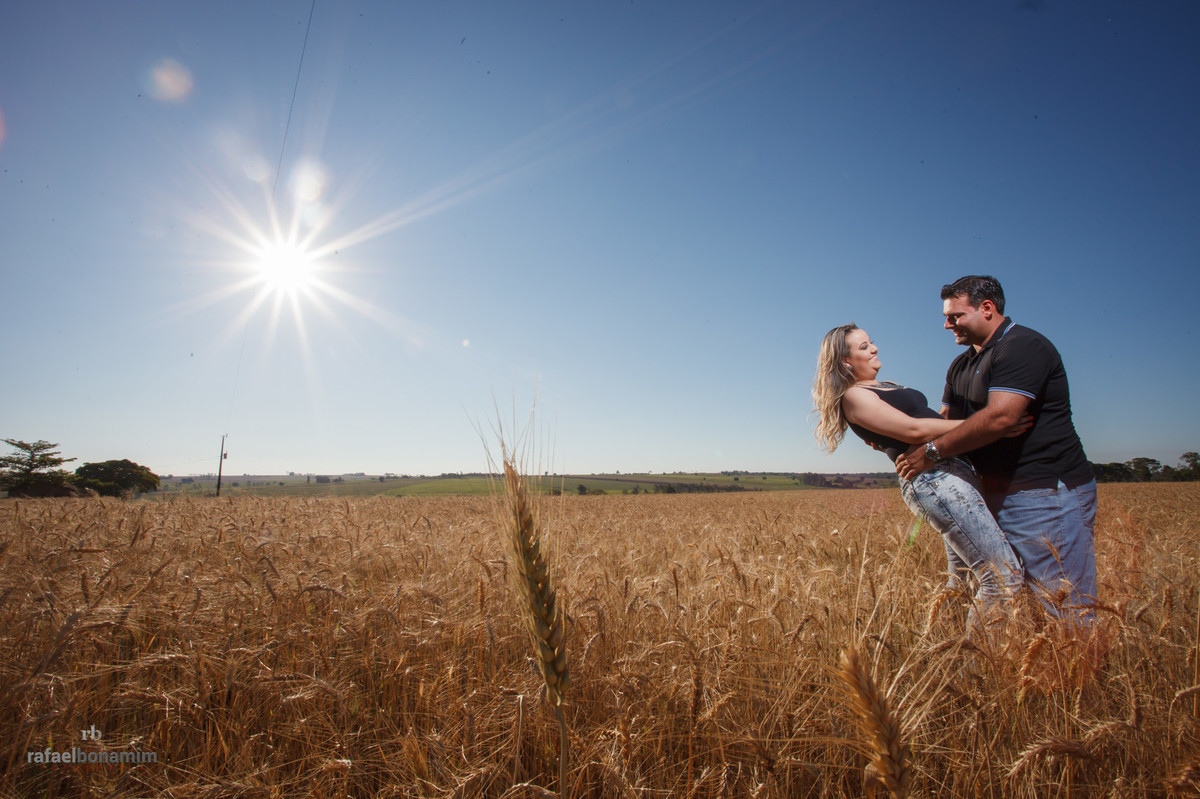 plantação de trigo, Palotina Paraná