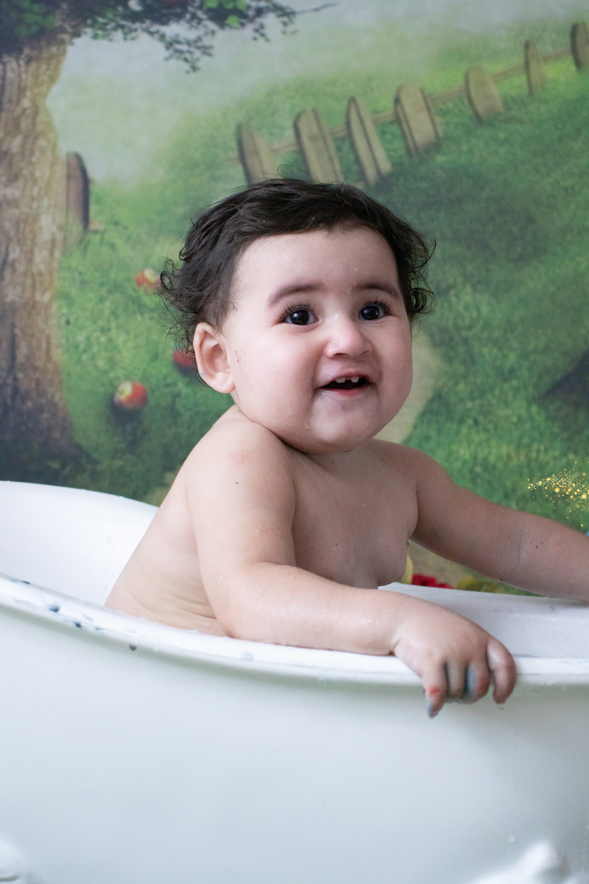 Daniela Ferreira, Cajamar São Paulo, Sessão Smash The Cake