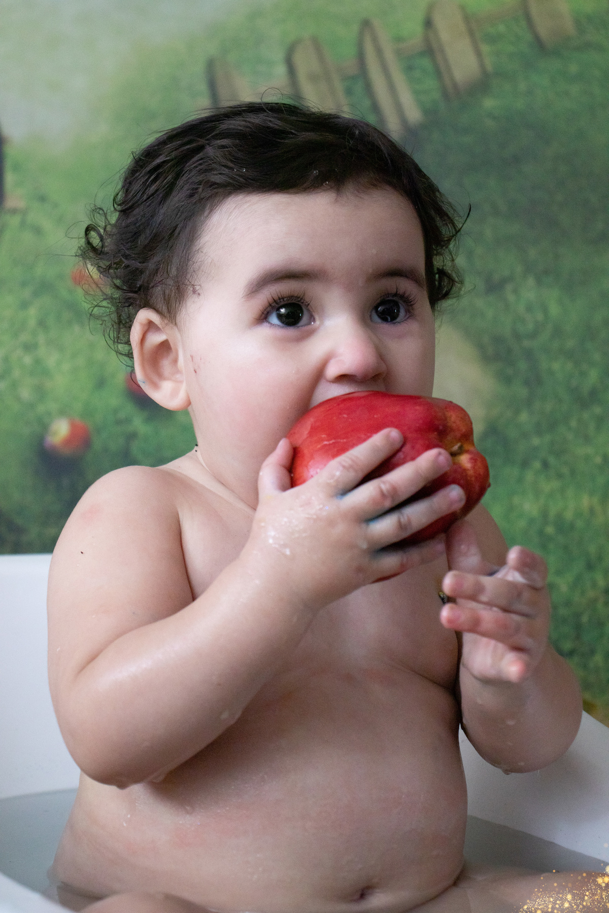 Daniela Ferreira, Cajamar São Paulo, Sessão Smash The Cake