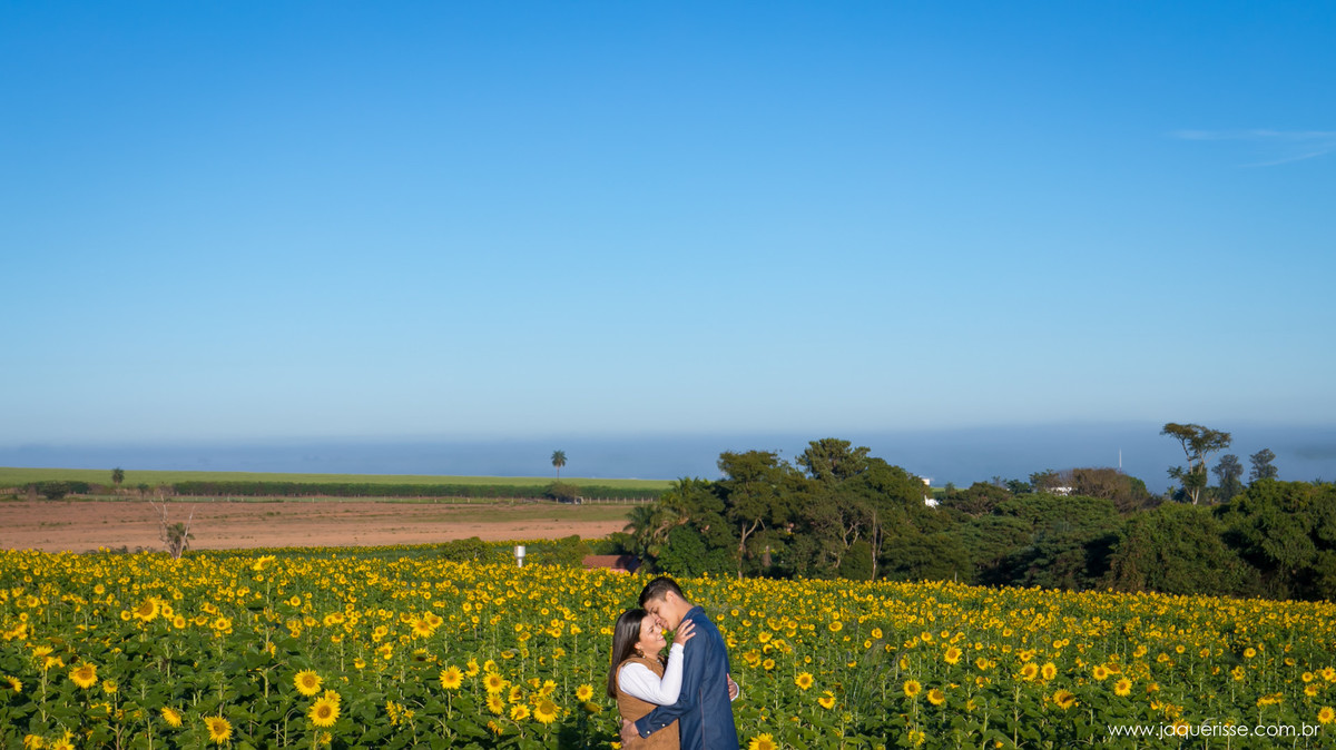 jaque risse, andre risse, estudio bebedouro, melhores fotografos, pombinhos apaixonados se acariciando