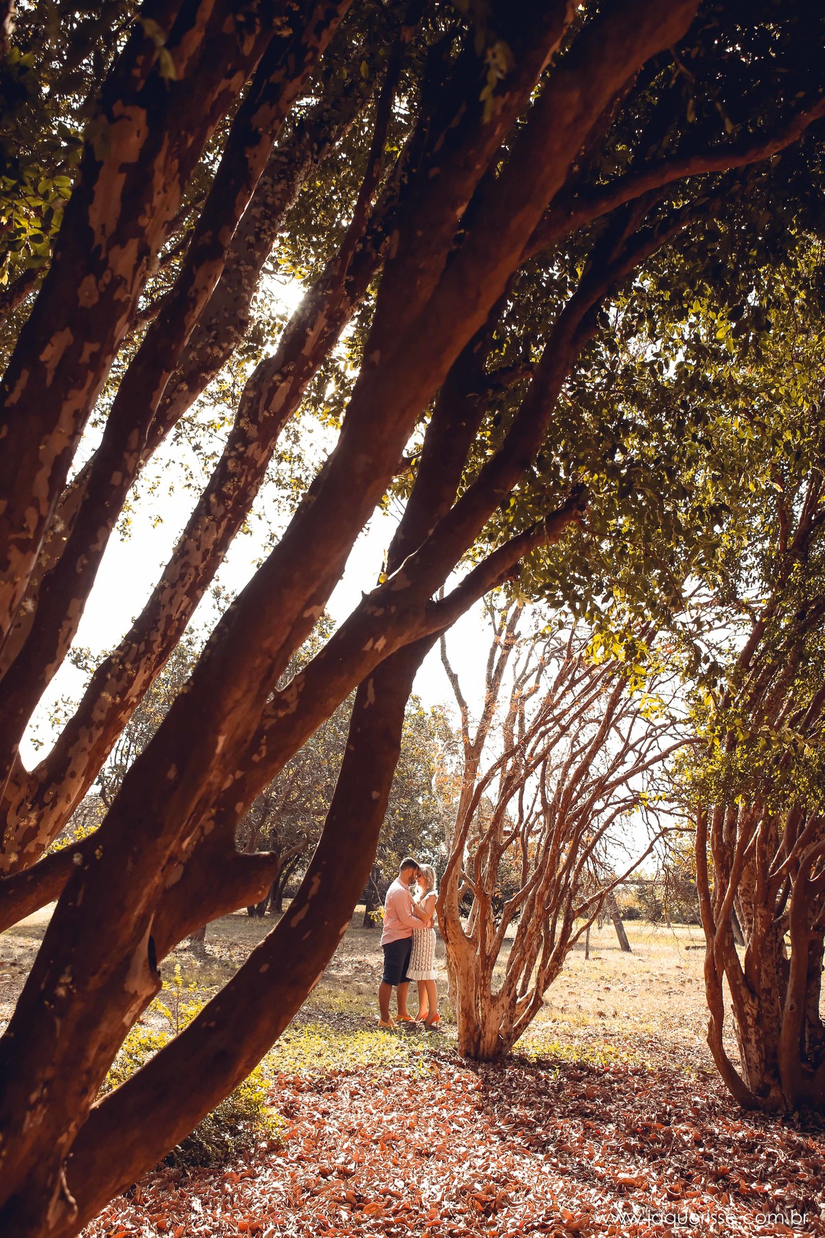 casal super apaixonados e românticos num momento de trocas de caricias  na cena do Pre wedding ou ensaio externo clicado pela fotografo de casamento jaque risse em bebedouro sp