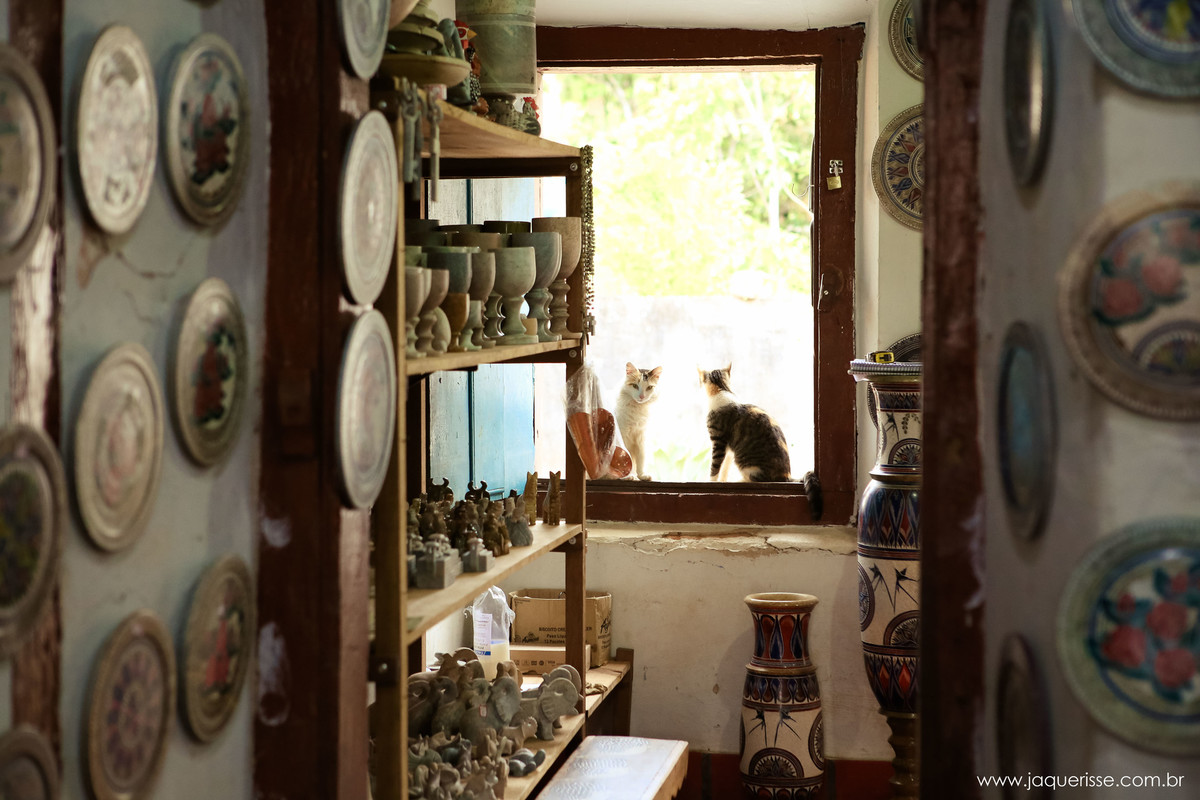 jaque risse, andre risse, estudio bebedouro, melhores fotografos, loja de utensilios, dois gatos na janela