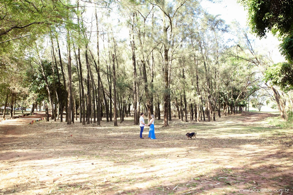 jaque risse, andre risse, estudio bebedouro, melhores fotografos, noivos no meio das arvores, um de frente para o outro, de maos dadas sorrindo, e o cachorro andando