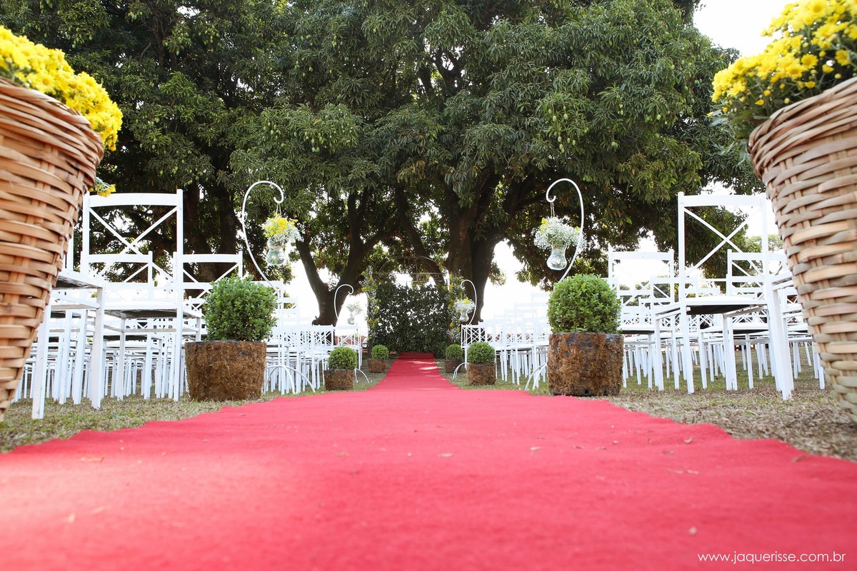 jaque risse, andre risse, estudio bebedouro, melhores fotografos, entrada dos noivos para o altar, tapete vermelho, decoraçao e arvores no fundo