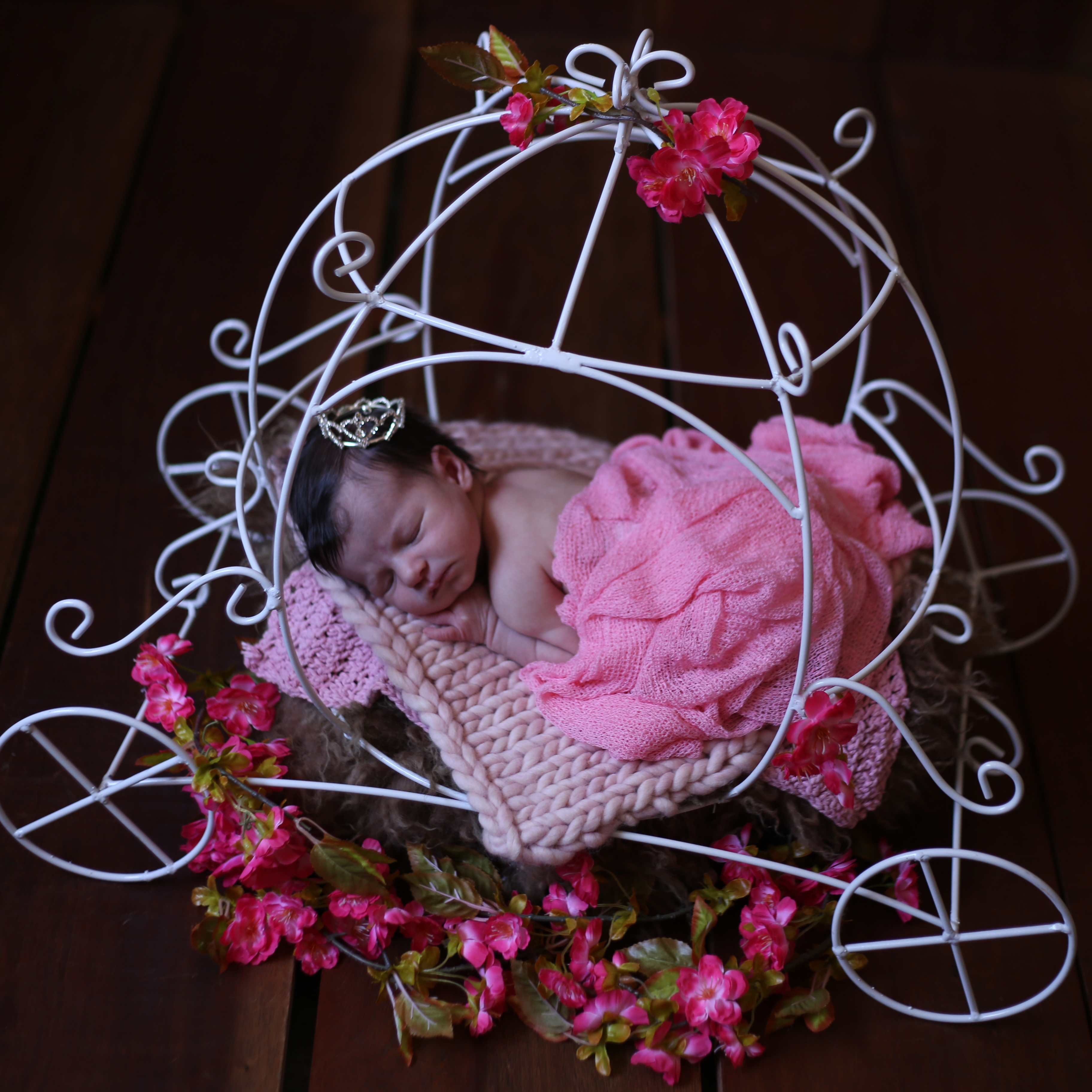 Contate Giovana Pontes Fotografia 