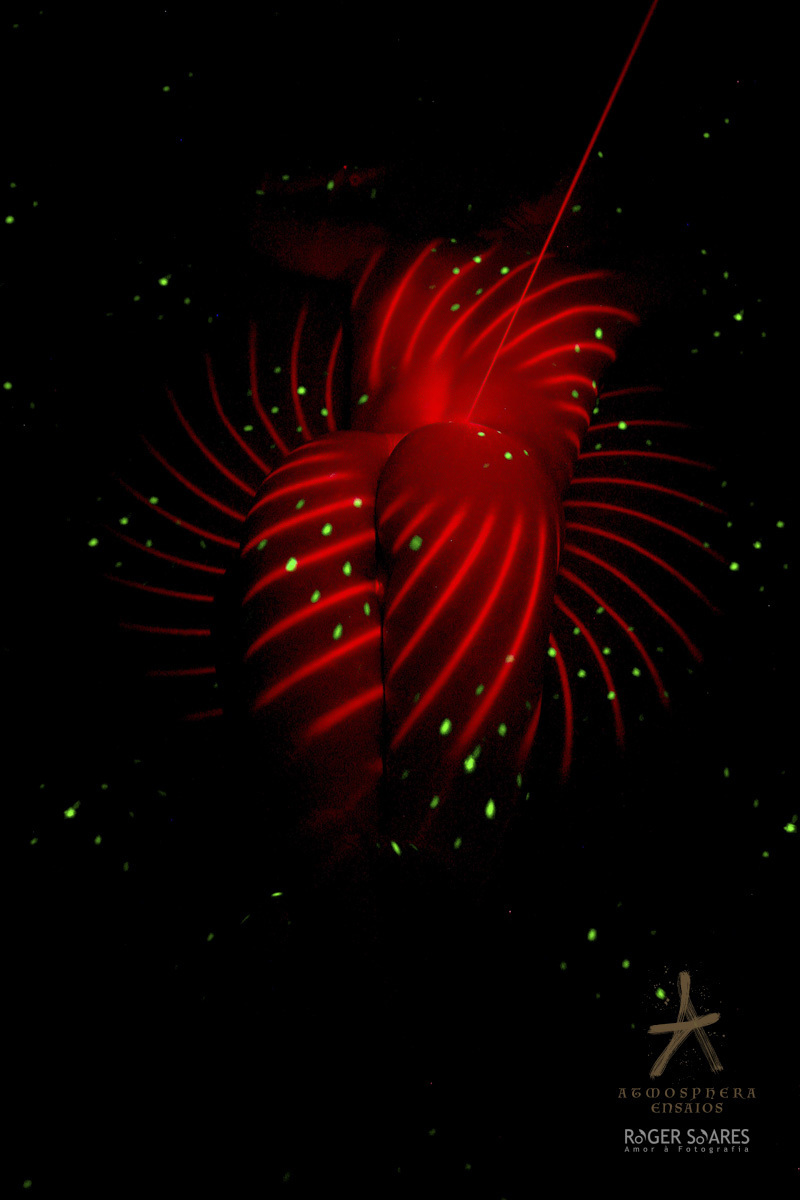 MULHER NEGRA MAGRA CABELOS CACHEADOS BLACK CRESPO VESTIDO DE GALA SALTO ALTO MAQUIAGEM ENSAIO FOTOGRAFICO ESTUDIO ESPELHO REFLEXO OLHAR TATUAGEM SENSUALIDADE ALEGRIA FELICIDADE CASUAL LINGERIE LASER COLORIDOS CORES TAÇA DRINK BEBIDA NU ARTISTICO BUMBUM