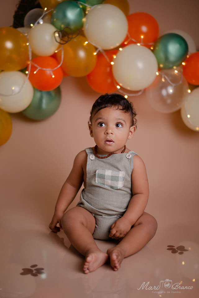 Ensaio Samsh the cake  tema Rei Leão em Estúdio Fotográfico Freguesia Jacarepagua Rio de Janeiro