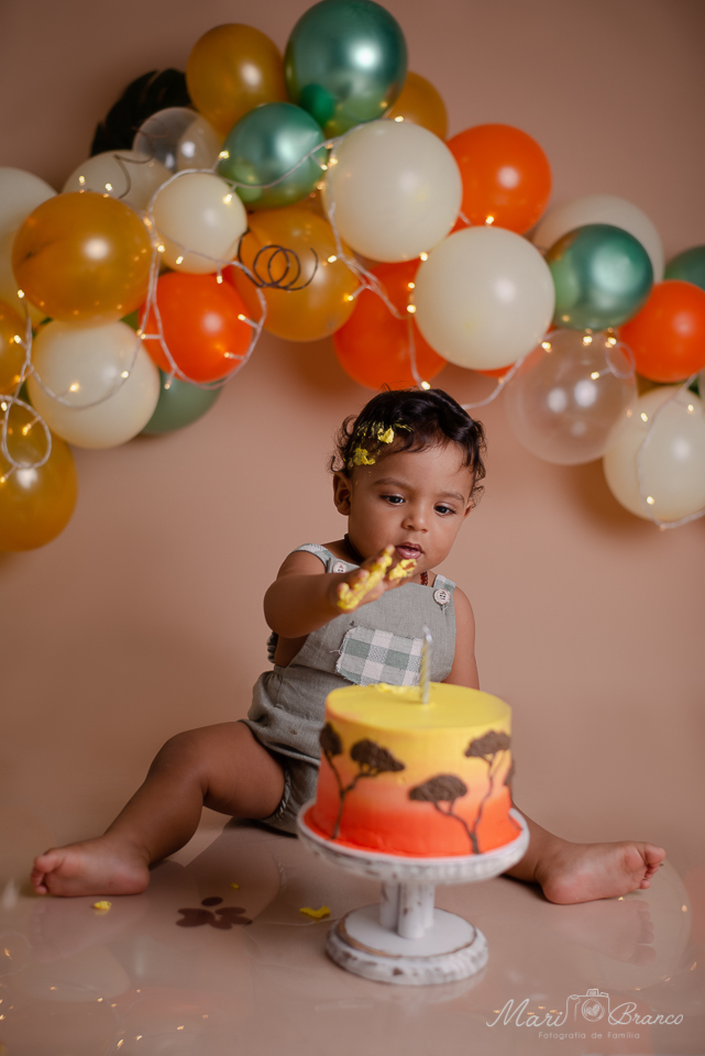 Ensaio Samsh the cake  tema Rei Leão em Estúdio Fotográfico Freguesia Jacarepagua Rio de Janeiro