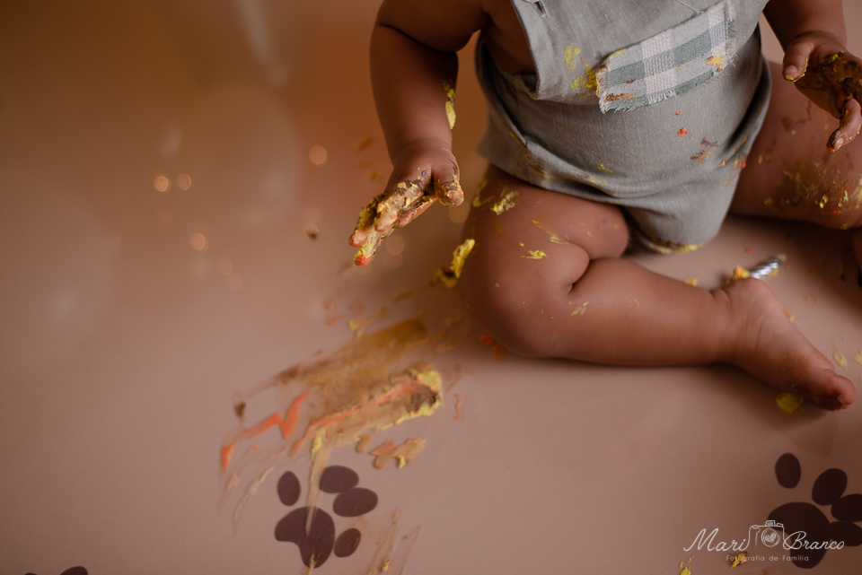Ensaio Samsh the cake  tema Rei Leão em Estúdio Fotográfico Freguesia Jacarepagua Rio de Janeiro