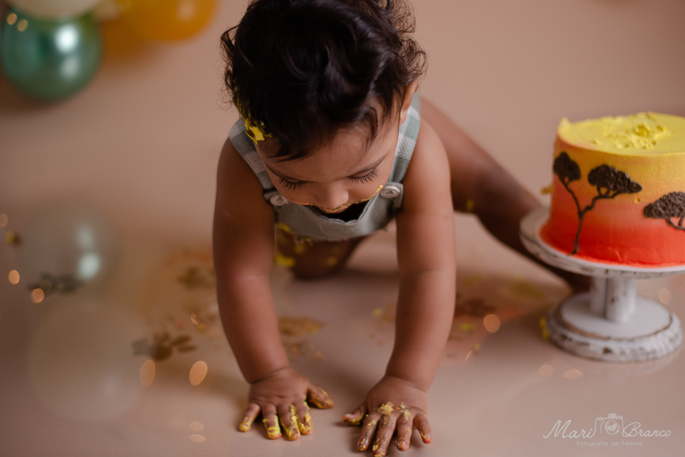 Ensaio Samsh the cake  tema Rei Leão em Estúdio Fotográfico Freguesia Jacarepagua Rio de Janeiro