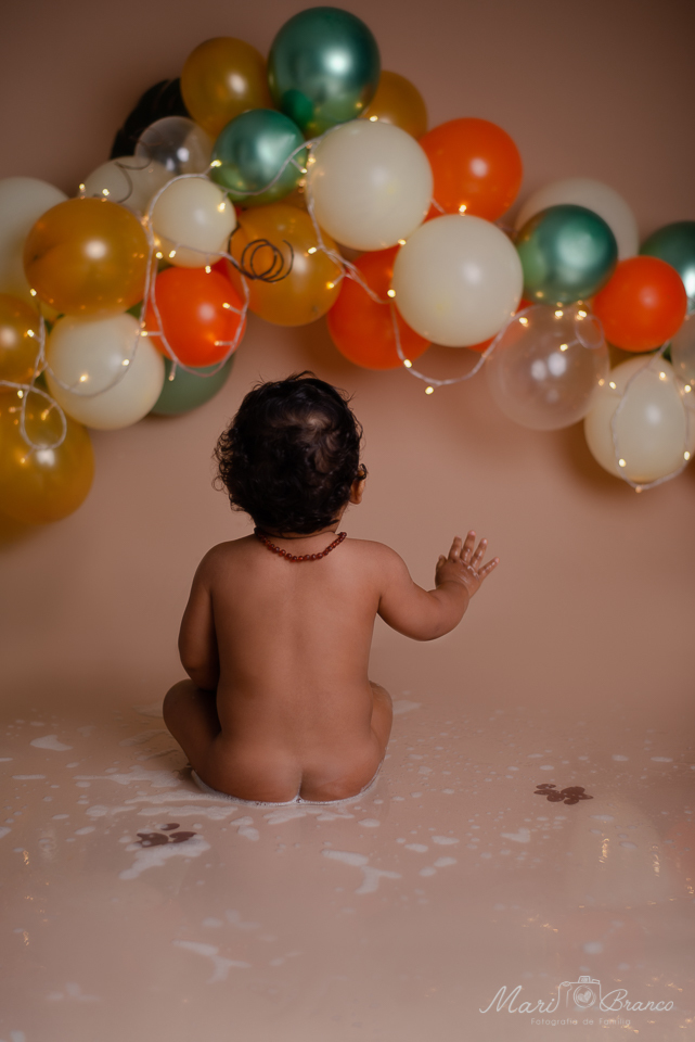 Ensaio Samsh the cake  tema Rei Leão em Estúdio Fotográfico Freguesia Jacarepagua Rio de Janeiro