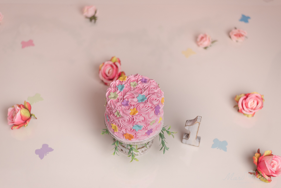 Ensaio Samsh the cake menina tema flores e jardim encantado Freguesia Jacarepagua
