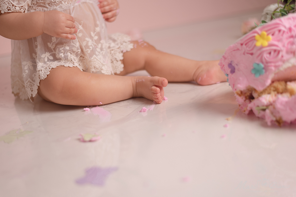 Ensaio Samsh the cake menina tema flores e jardim encantado Freguesia Jacarepagua
