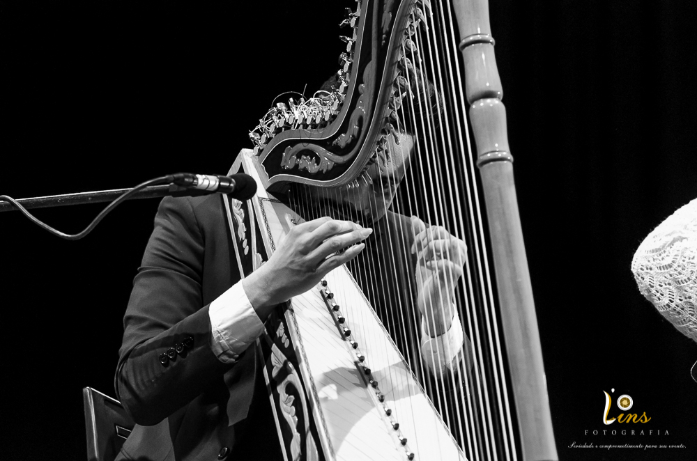 Fotografo-Guarulhos-Thiago-Raja-Harpa-Paraguaia