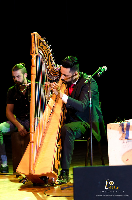 Fotografo-Guarulhos-Thiago-Raja-Harpa-Paraguaia