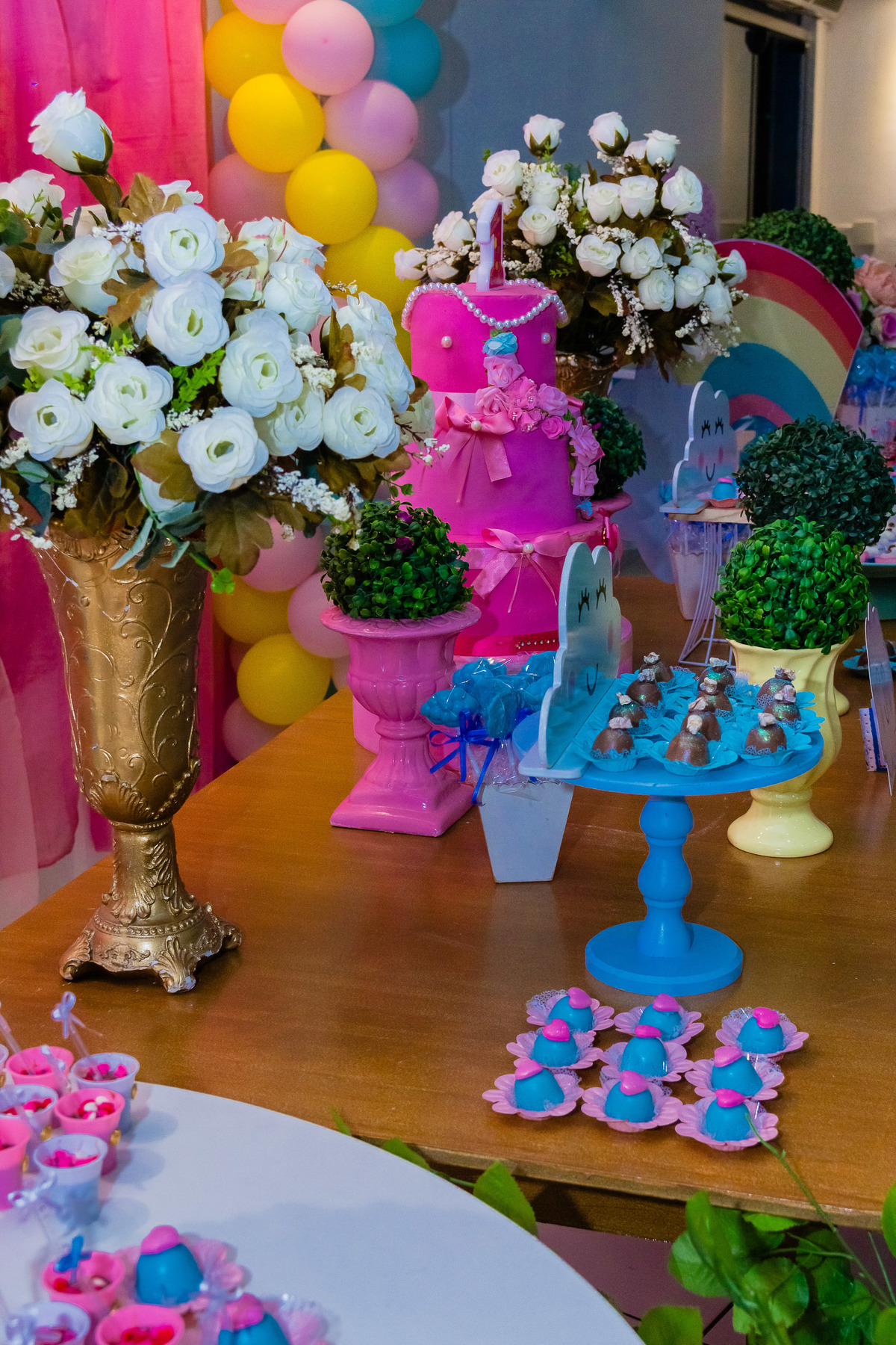 Julia 1 ano por Cristiane Libardi em Rio Preto