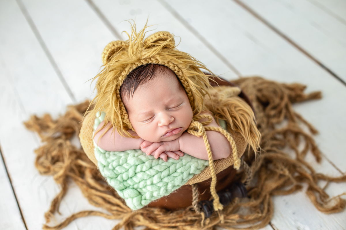 Leaozinho mais fofo gente!!!