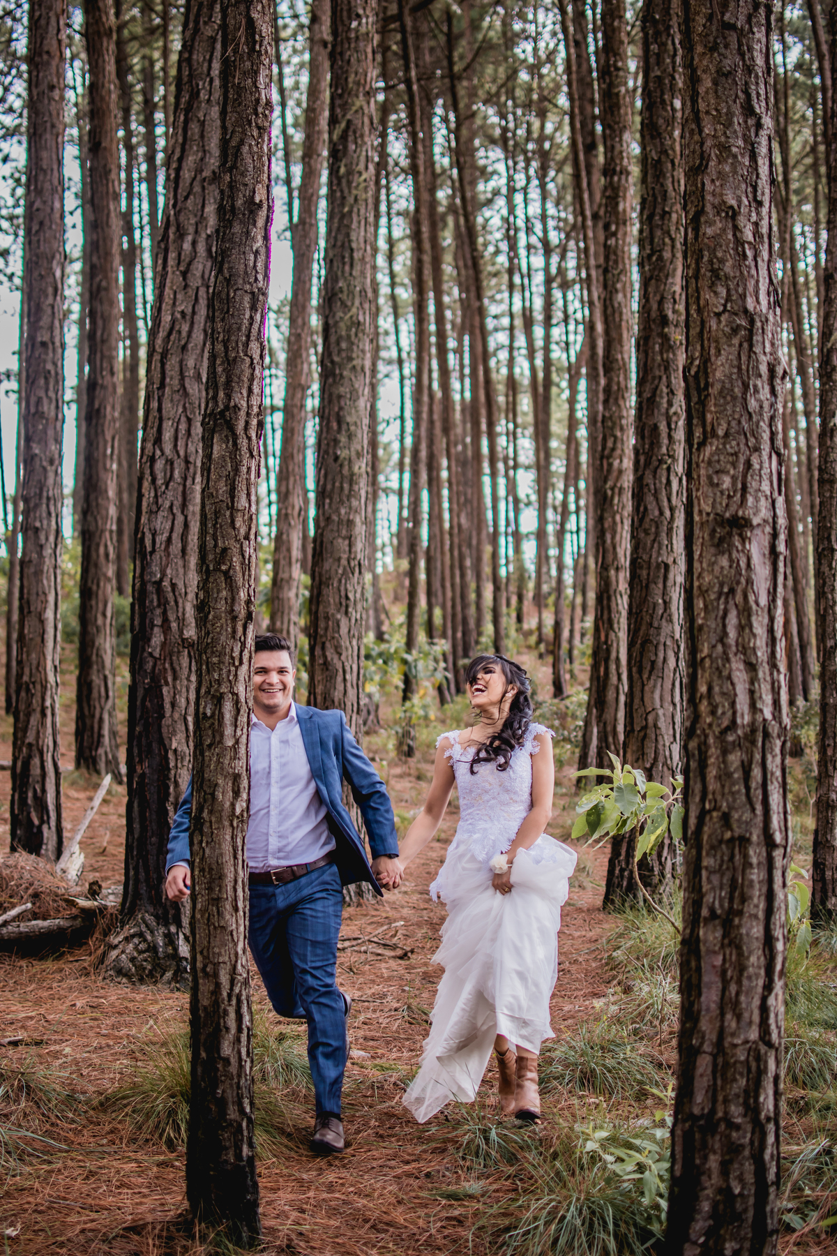 santo antonio do pinhal 