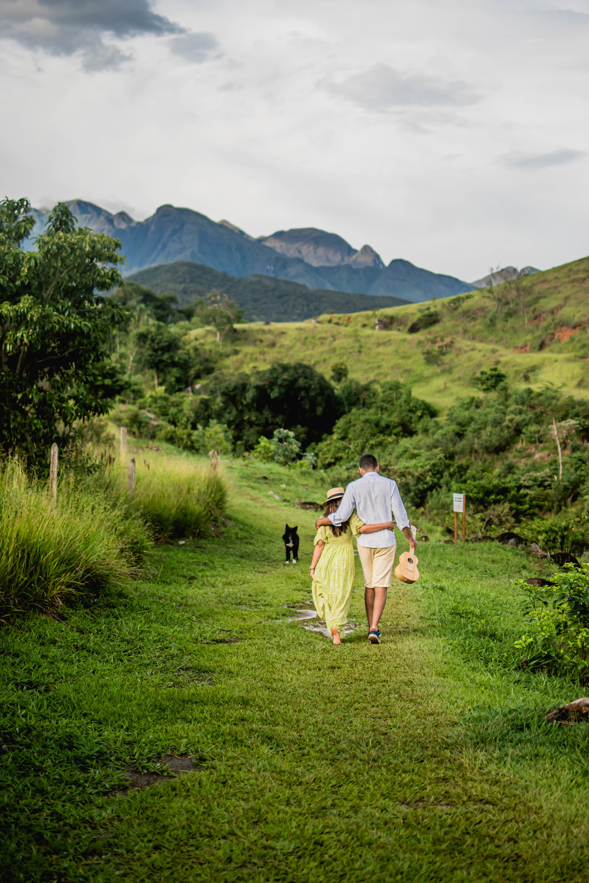 cachorro em ensaio fotografico