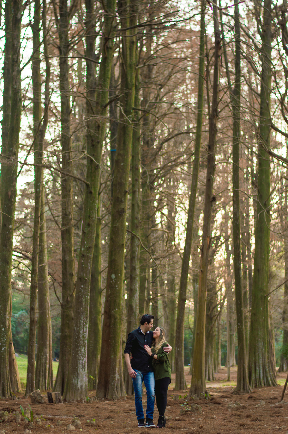 ensaio nos eucaliptos 