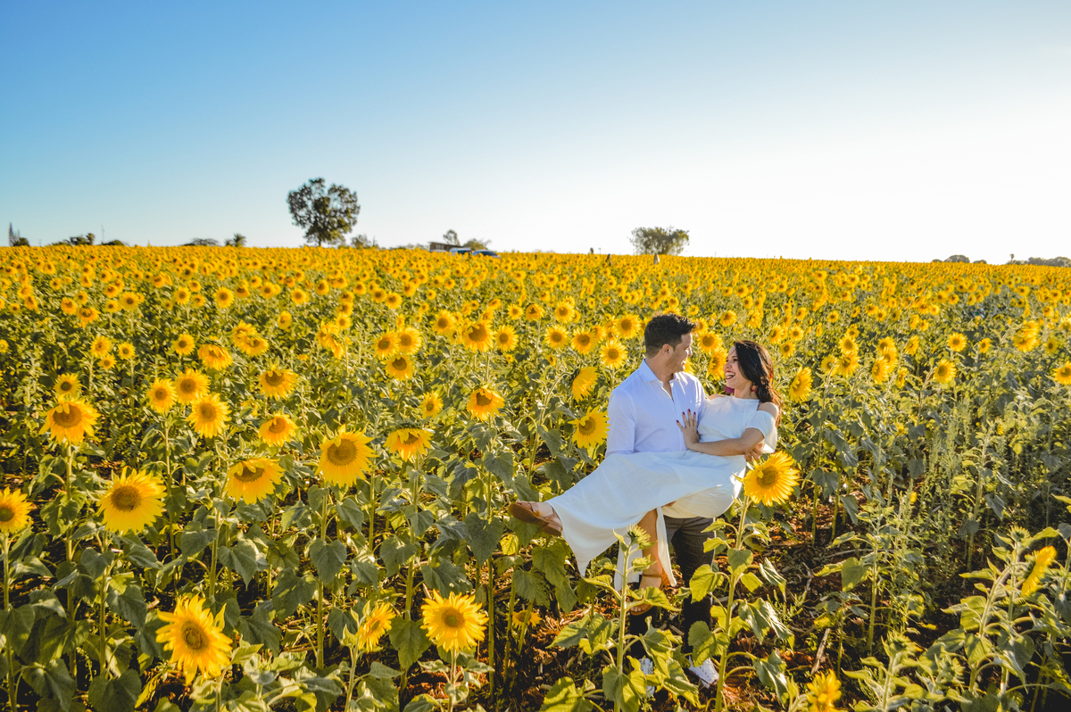ensaio em campo de girassol