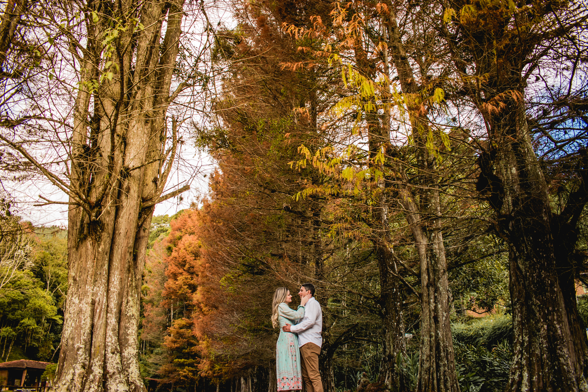 restaurante em santo Antônio do pinhal 