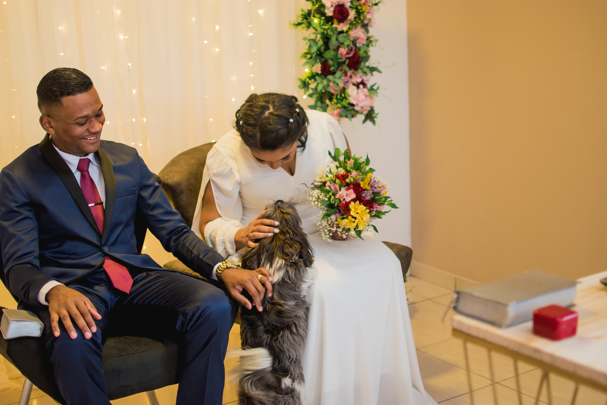 cachorro no casamento