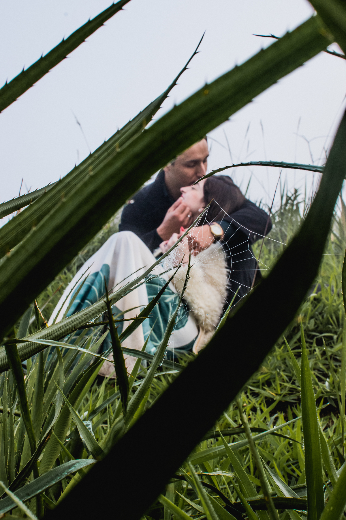 pico do olho d' agua 