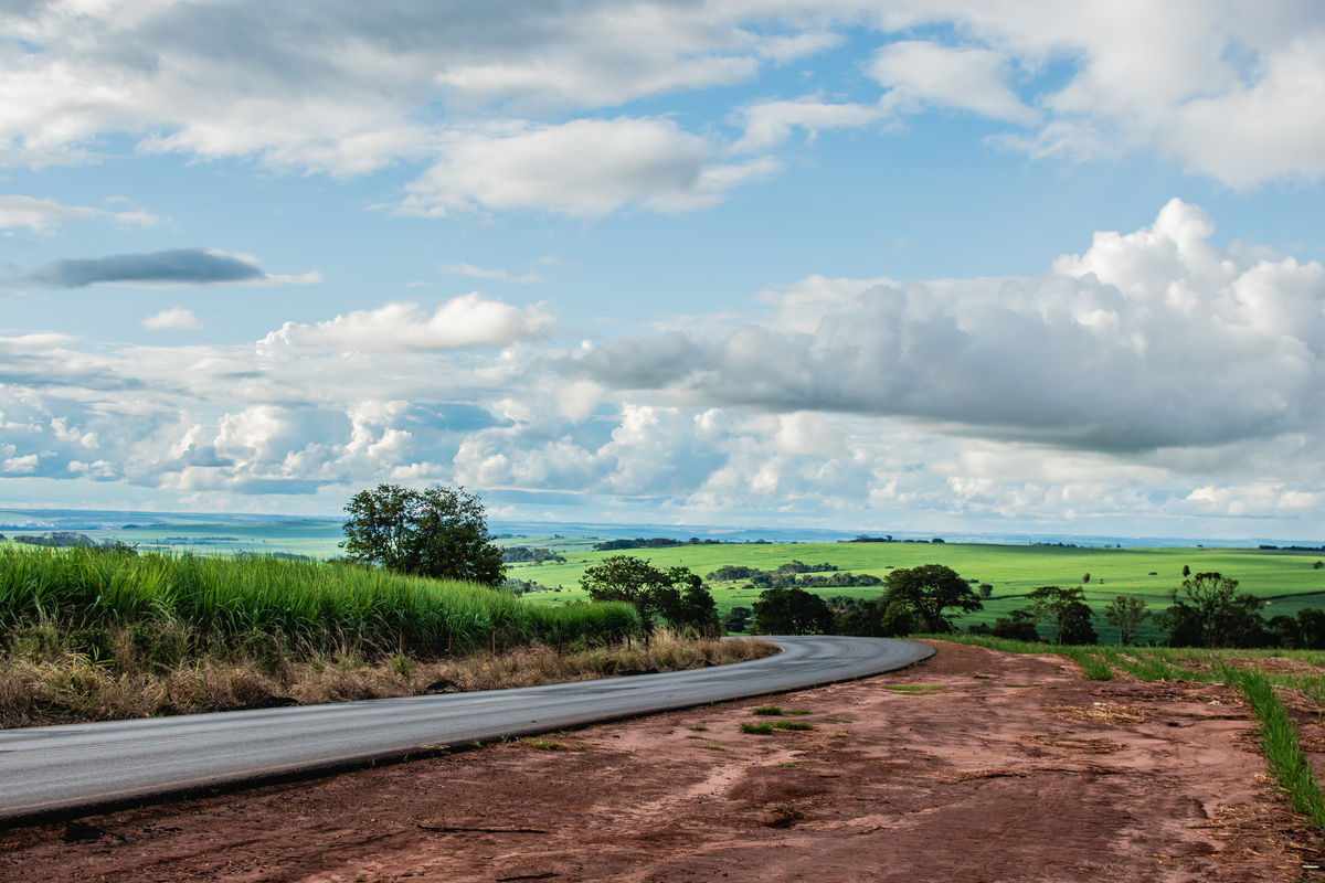 ensaio de gestante na estrada 