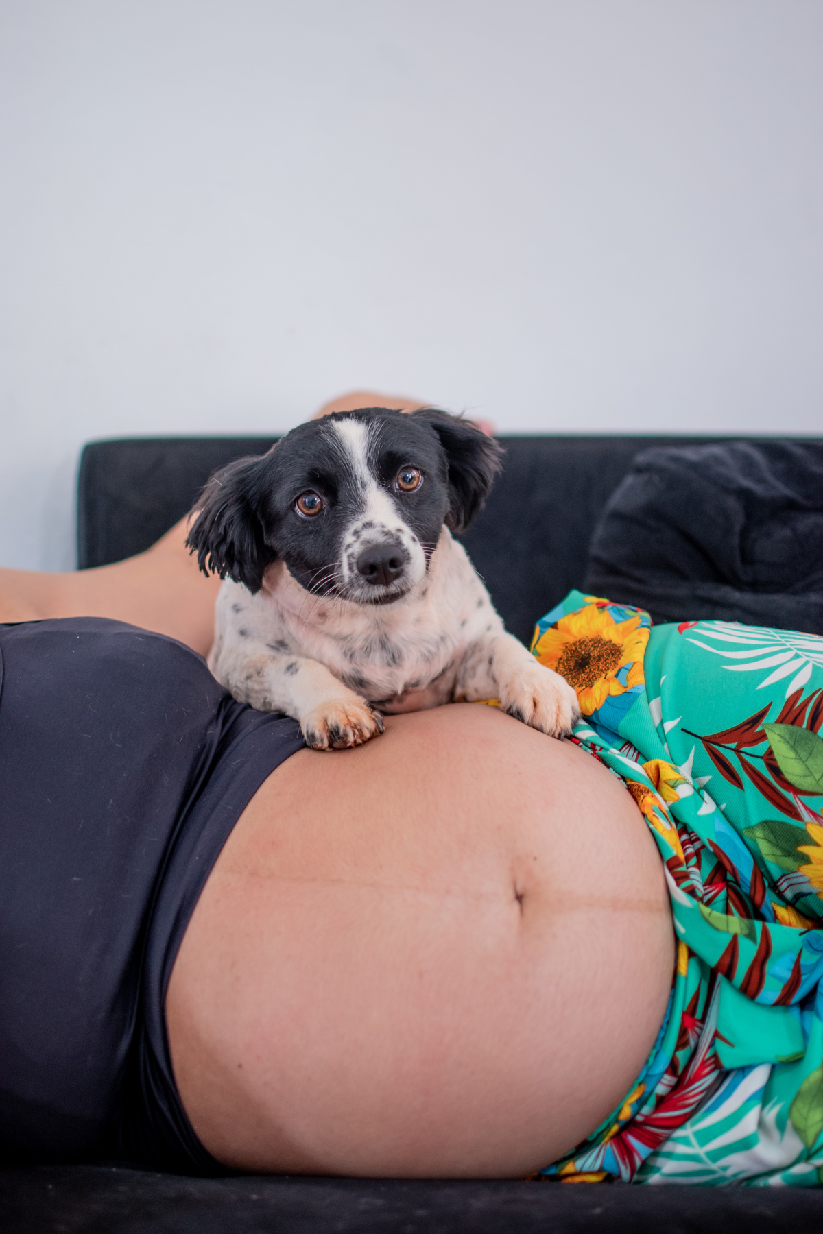 ensaio de gestante com cachorros 