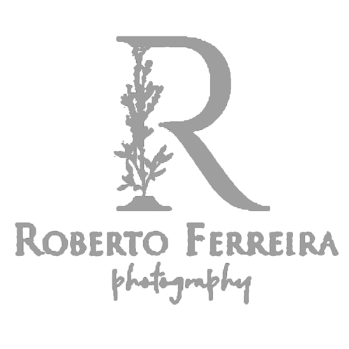 Logotipo de Roberto dos Santos Ferreira