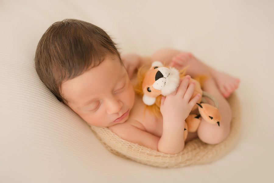 fotografia newborn em caxias do sul 
 bebe dormindo de barriga para cima com leãozinho