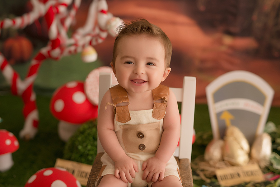 a fantástica fábrica de chocolates