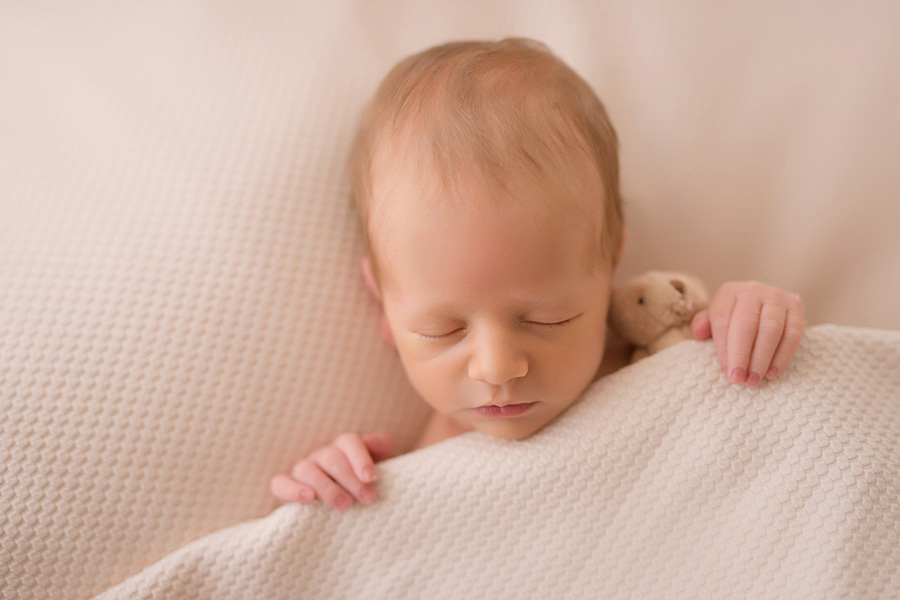 fotografia newborn em caxias do sul bebe com ursinho bege