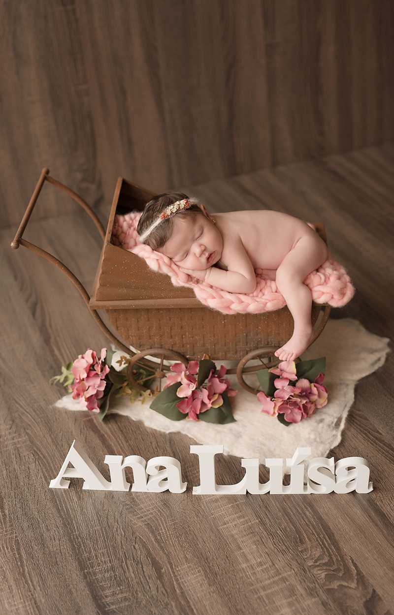 Fotografia newborn caxias do sul Morgana Perini no carrinho com flores