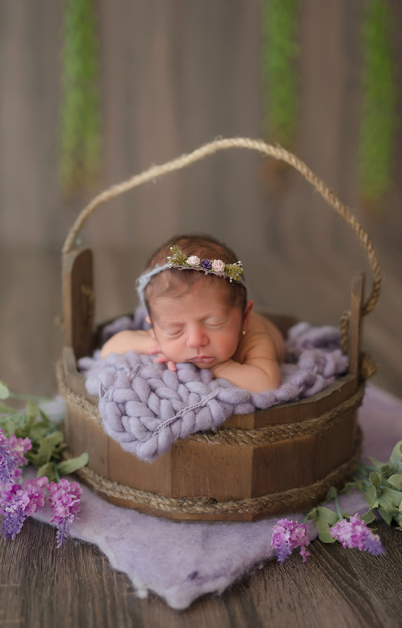 foto de newborn em caxias do sul fotografa morgana perini bebe na cestinha com manta roxa