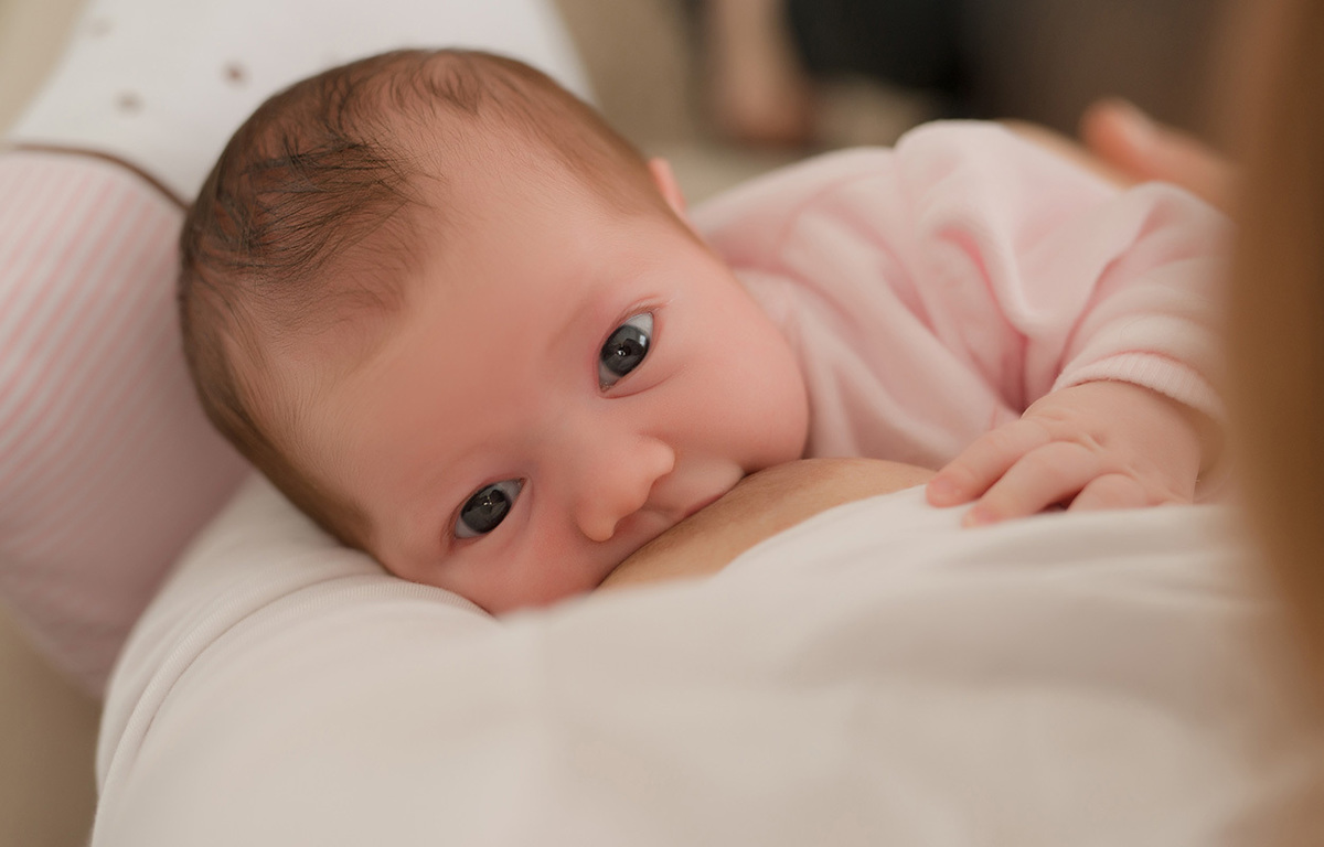 foto de bebe em caxias do sul fotografa morgana perini bebe mamando e olhando para a camera