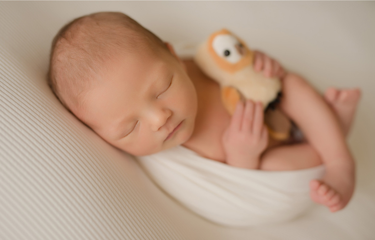 foto newborn em caxias do sul fotografa morgana perini bebe enroladinho com curujinha