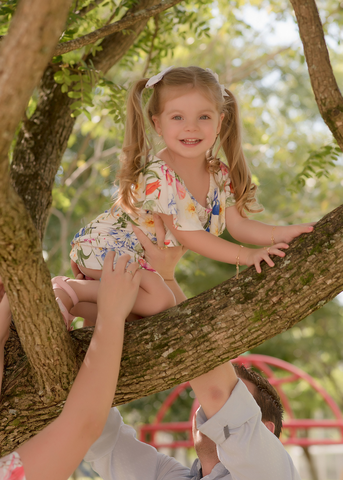 foto de criança em caxias do sul fotografa morgana perini menina em cima da arvore
