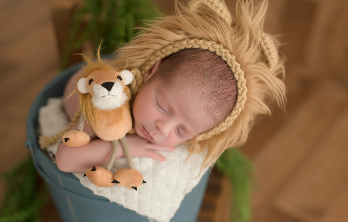 foto newborn em caxias do sul fotografa morgana perini recem nascido com juba de leao