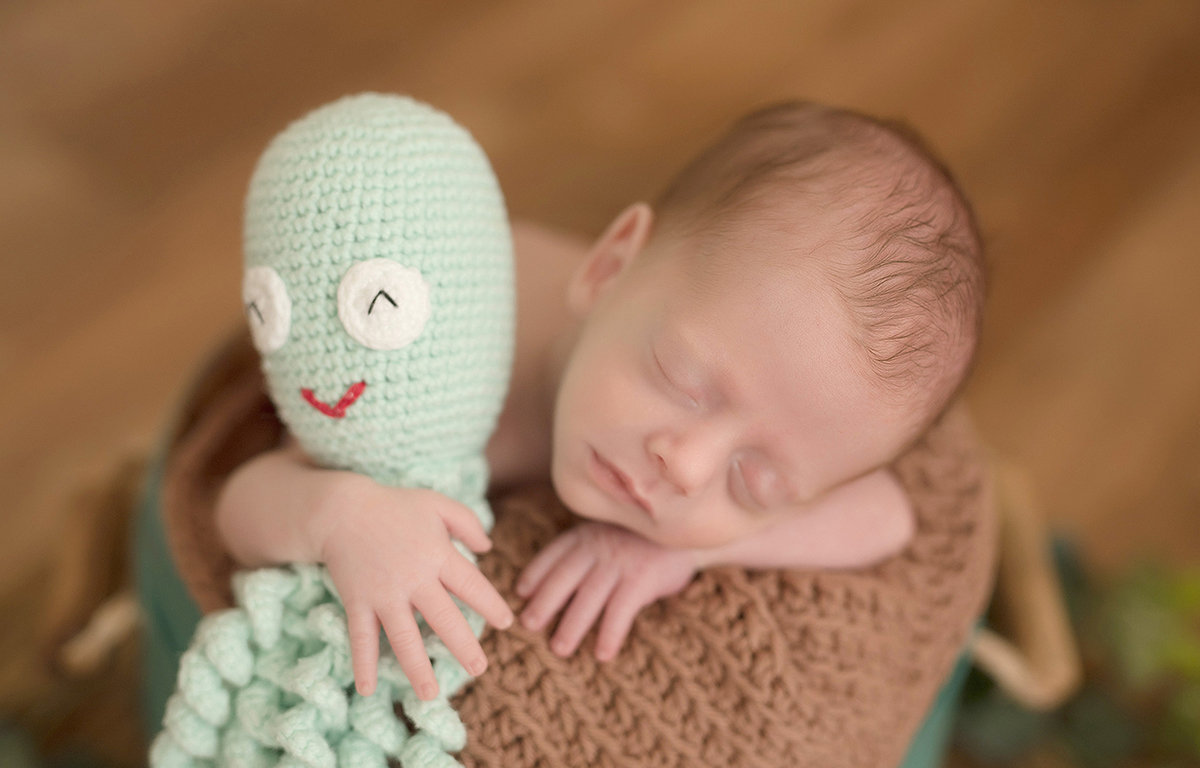 foto newborn em caxias do sul fotografa morgana perini bebe com polvo verde