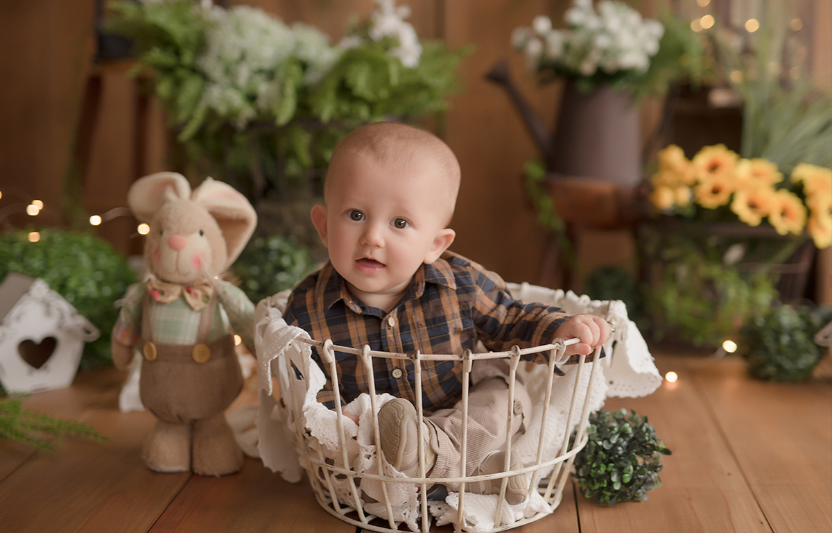 foto de bebe em caxias do sul fotografa morgana perini bebe na cestinha com coelinho